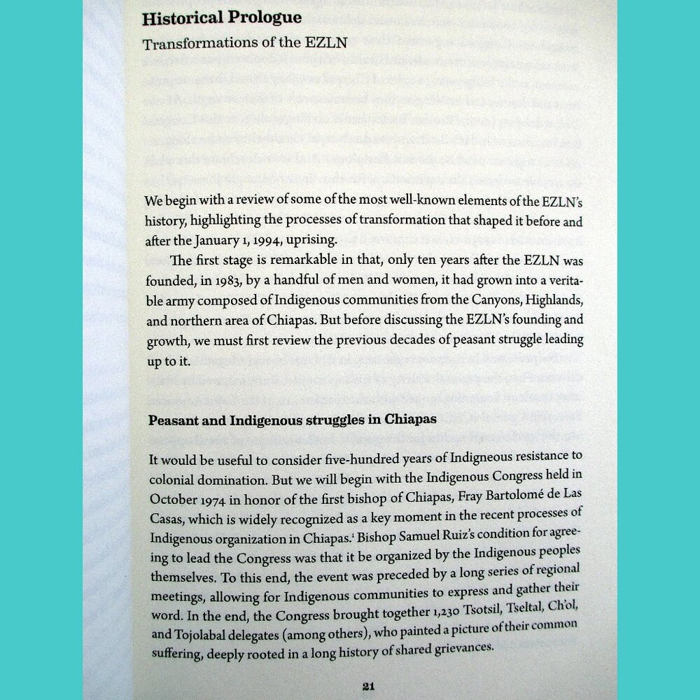 Book -  The Zapatista Experience: Rebellion, Resistance, and Autonomy - Picture 6 of 13